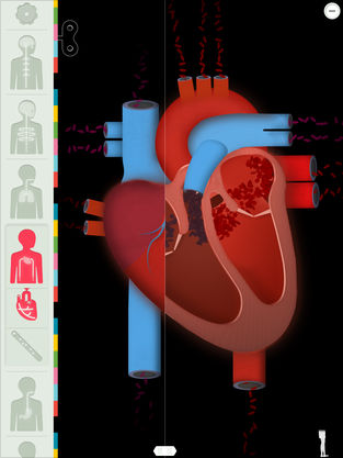 science apps ipad middle school and elementary 5th grade texas teks  life science anatomy human body