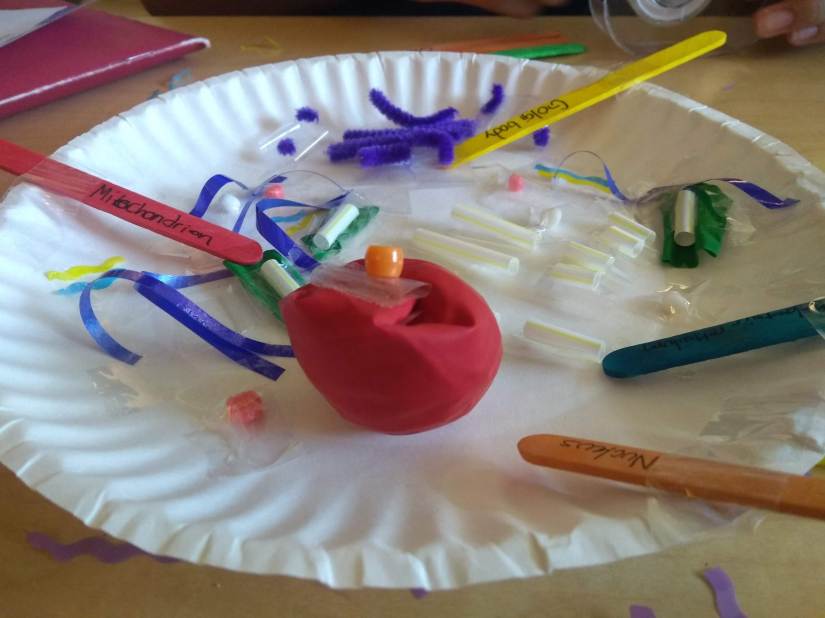 eukaryotic cell model animal science lab life science