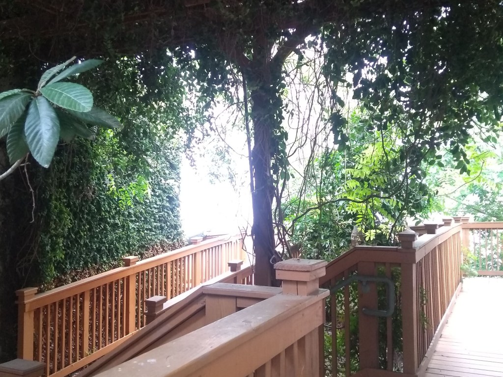 spring science activities end of the year