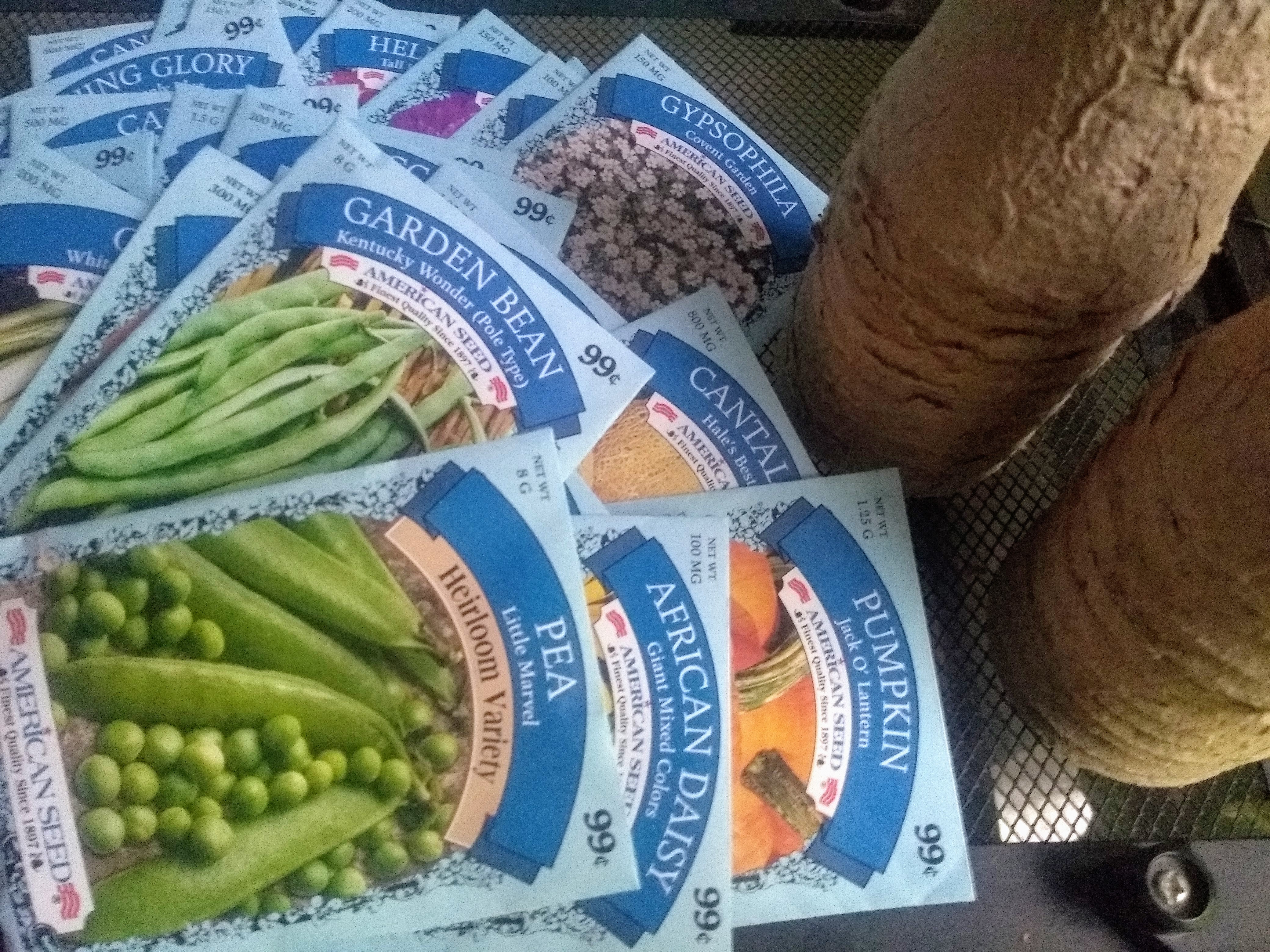 end of the year student science activities