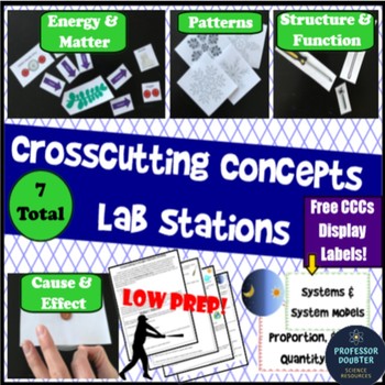 NGSS Crosscutting Concepts Lab Stations Professor Doubter